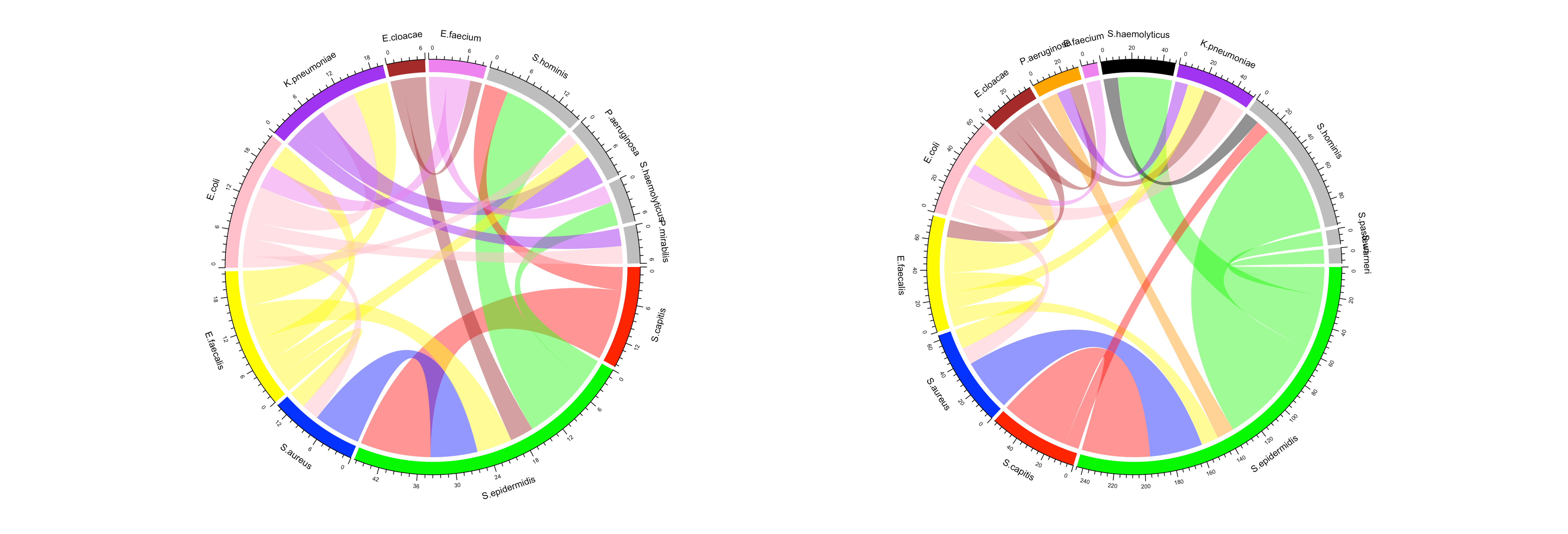 Chord diagrams of top co-infections among deceased vs survivors.